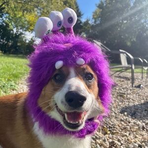 Meet your Posher, Trista